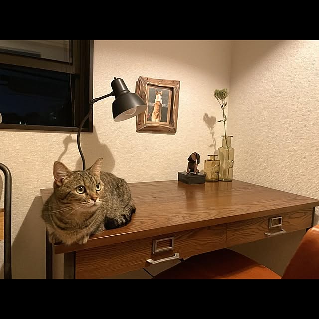 kajikissaさんの実例写真