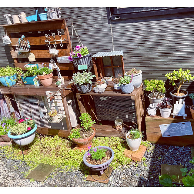 CoCo0617さんの部屋