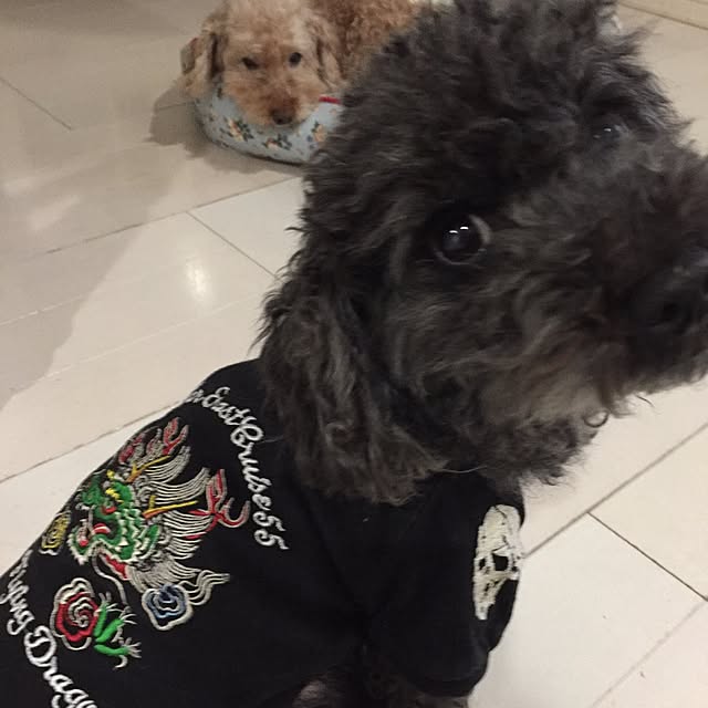 greenroseさんの実例写真