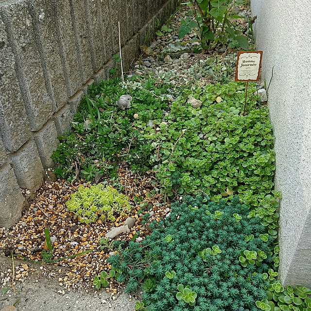 meiさんの実例写真