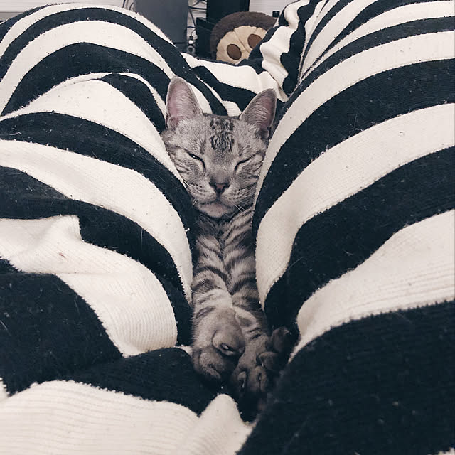 rinさんの実例写真