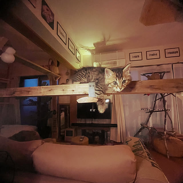 Mさんの部屋