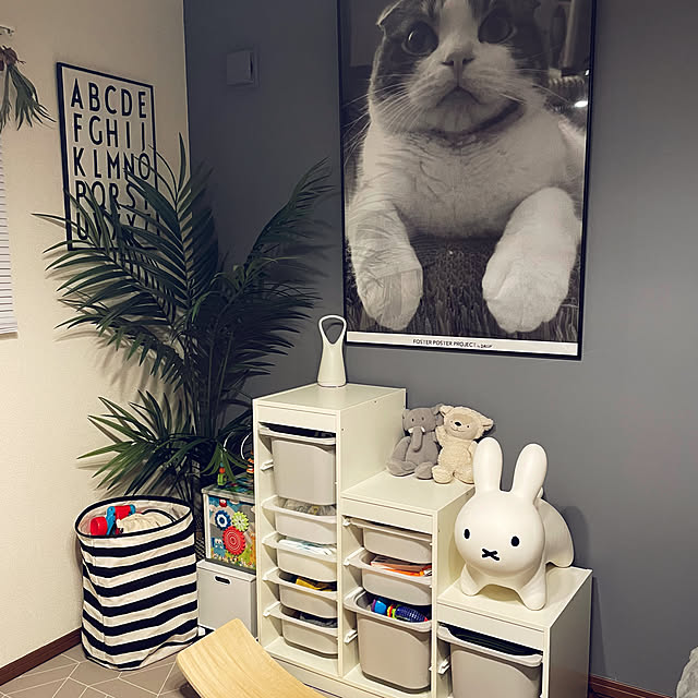 tansukeさんの部屋