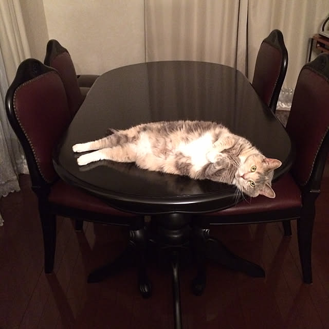 nya_sanさんの実例写真