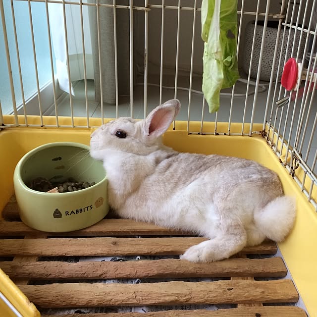 Hitomiさんの実例写真