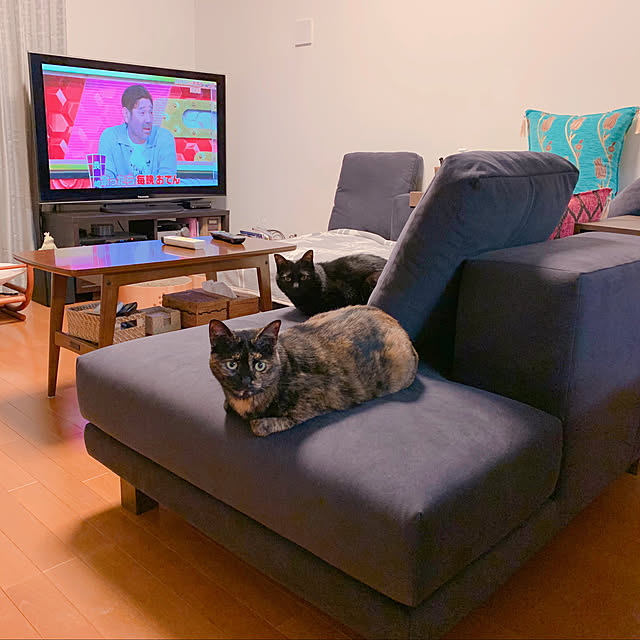 mameazさんの実例写真