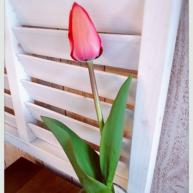 amamiさんの実例写真