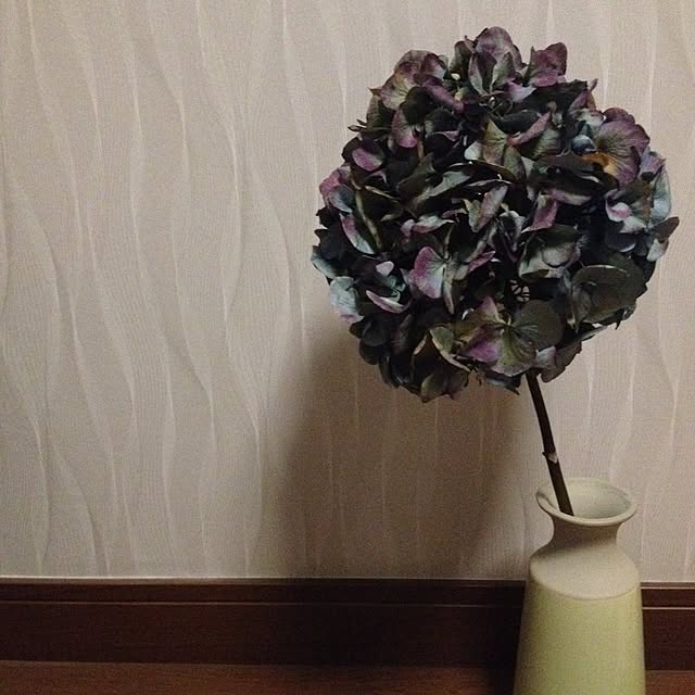 Yukonさんの実例写真