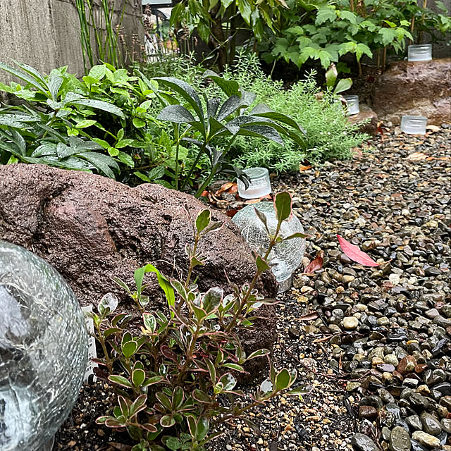 yuriireeenさんの実例写真