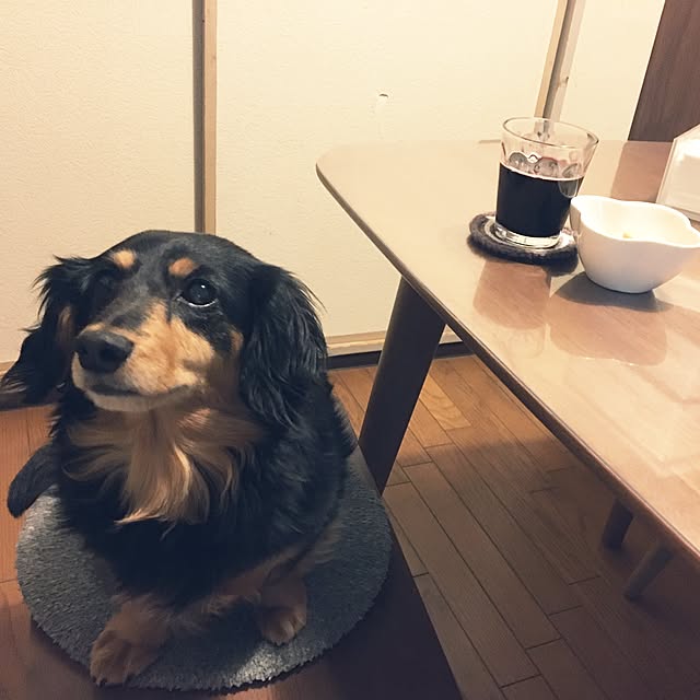ohanaさんの実例写真