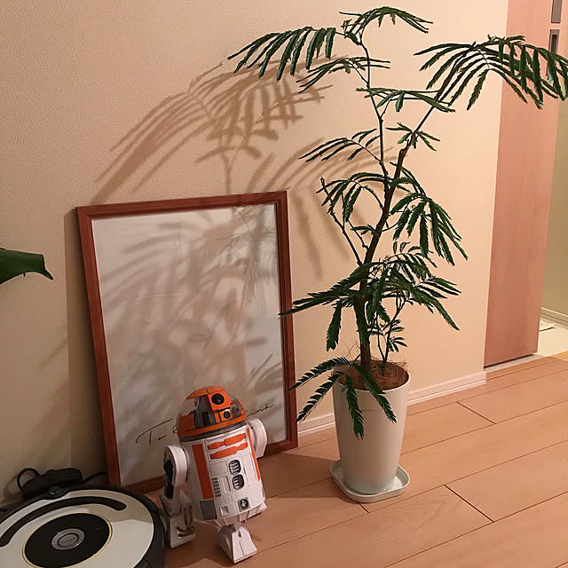 Minaさんの実例写真