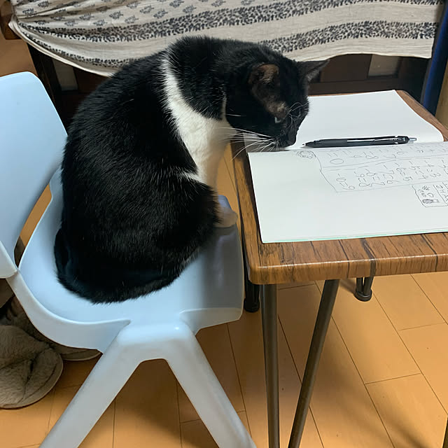 mohimikanさんの実例写真