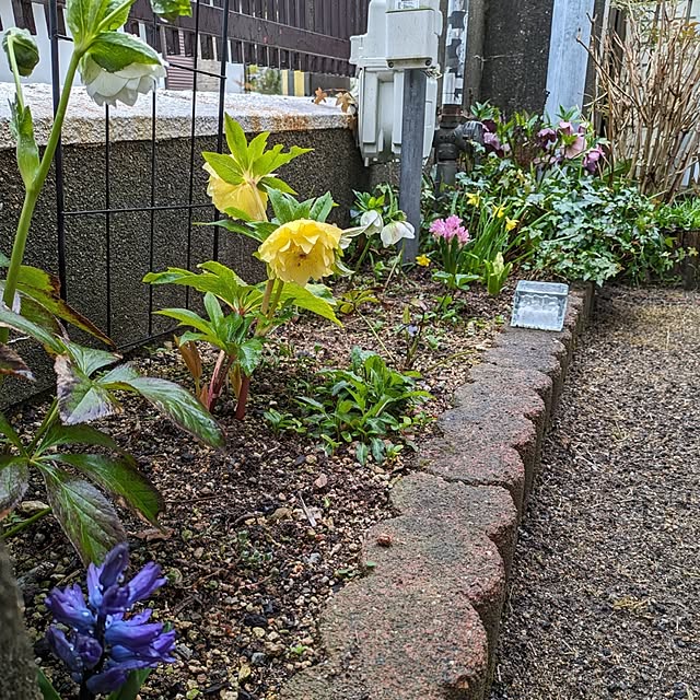 Renさんの実例写真