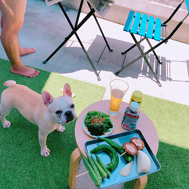 犬がいる暮らし/IKEA/玄関/入り口のインテリア実例 - 2020-09-24 23:08:46