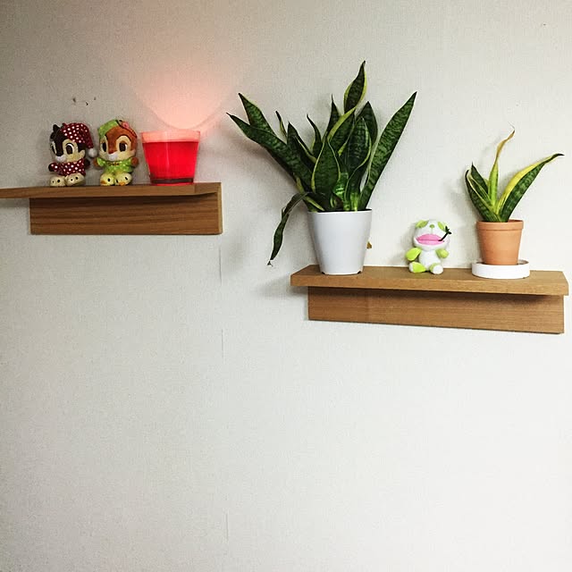 hiroさんの実例写真