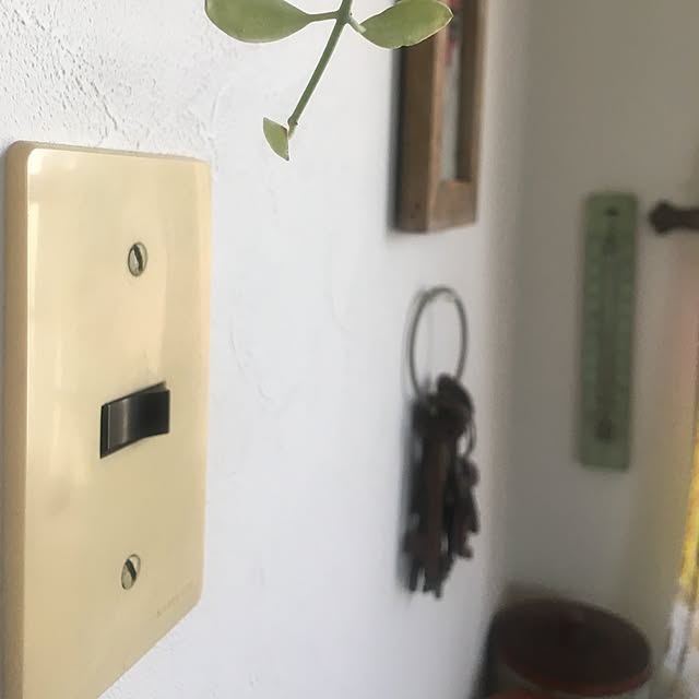 mikiさんの実例写真