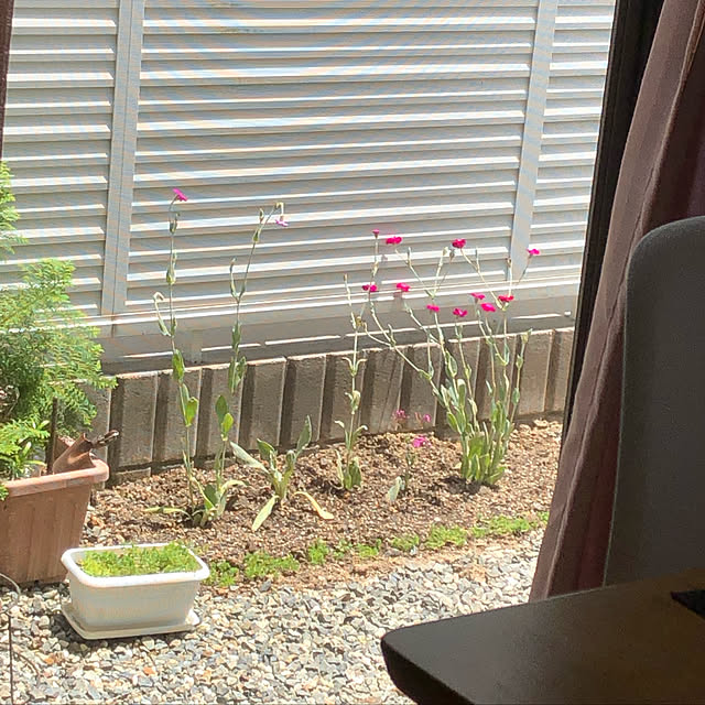 kaoriさんの実例写真