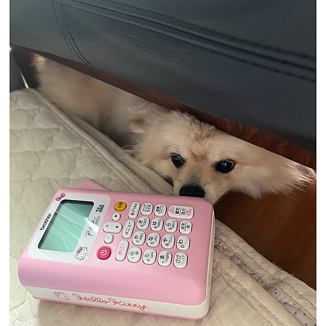 Aliceさんの部屋