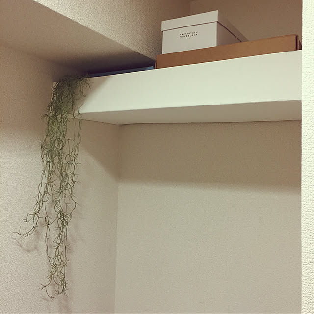 tmさんの実例写真