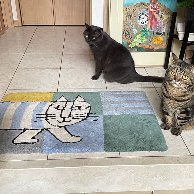 Chocolatさんの実例写真