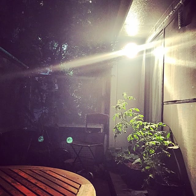 Tkさんの実例写真