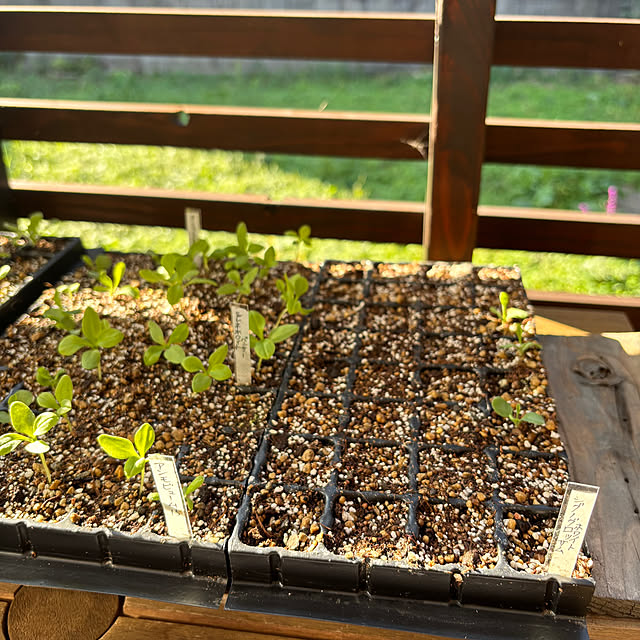 kyoko1124koさんの部屋