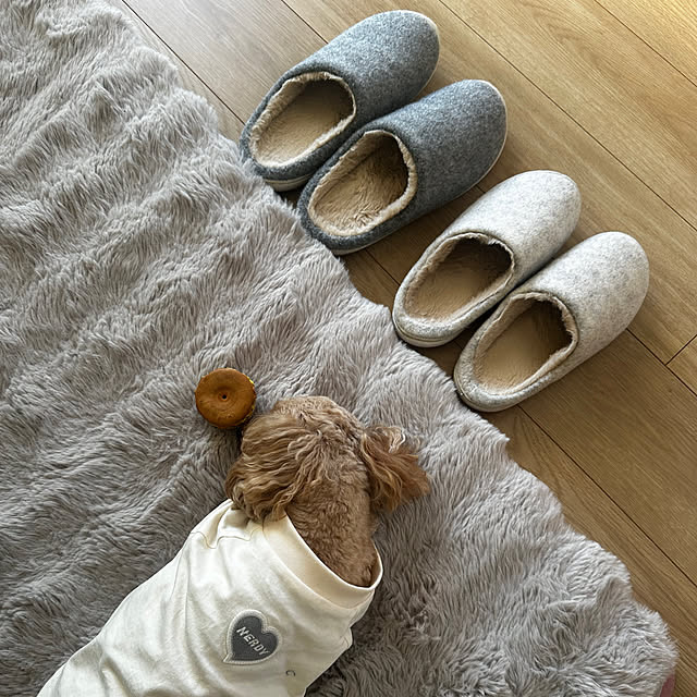 kiyoさんの実例写真