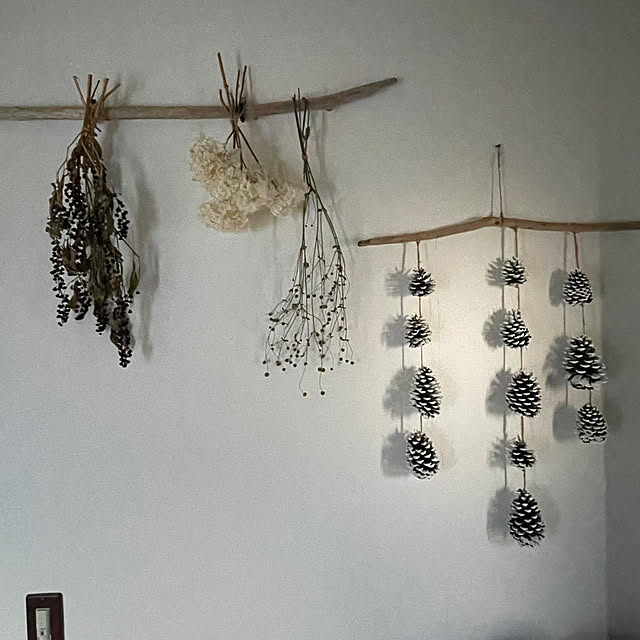 nobikoさんの部屋