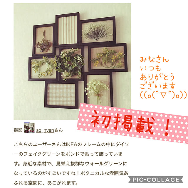 so_nyanさんの実例写真