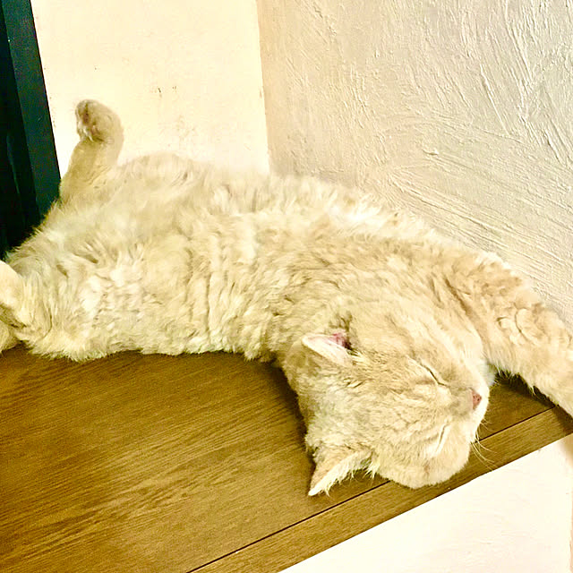 naokoさんの部屋