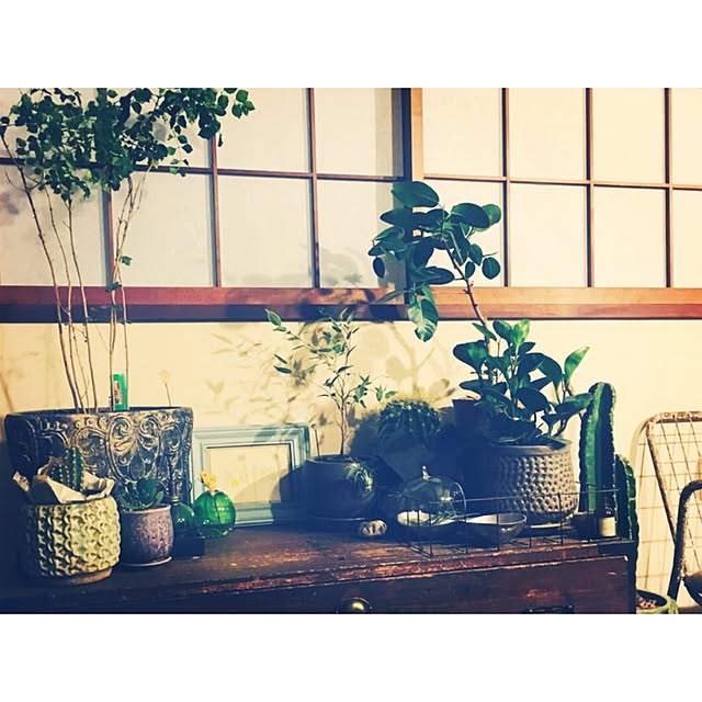 nicoさんの実例写真