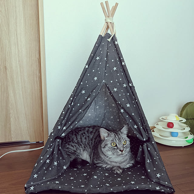 mewさんの実例写真