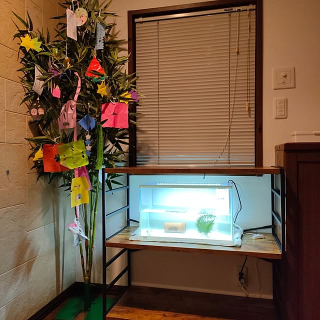 momomamaさんの部屋