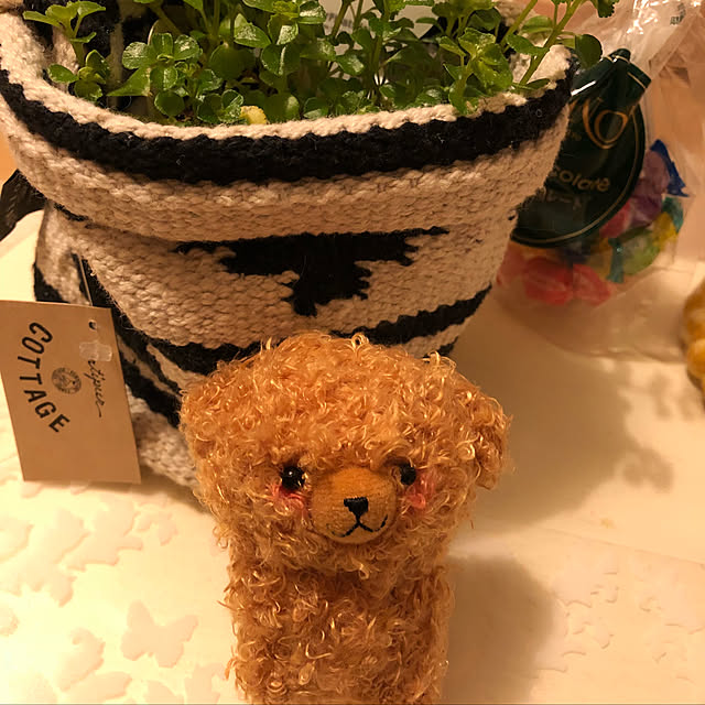 pamさんの実例写真