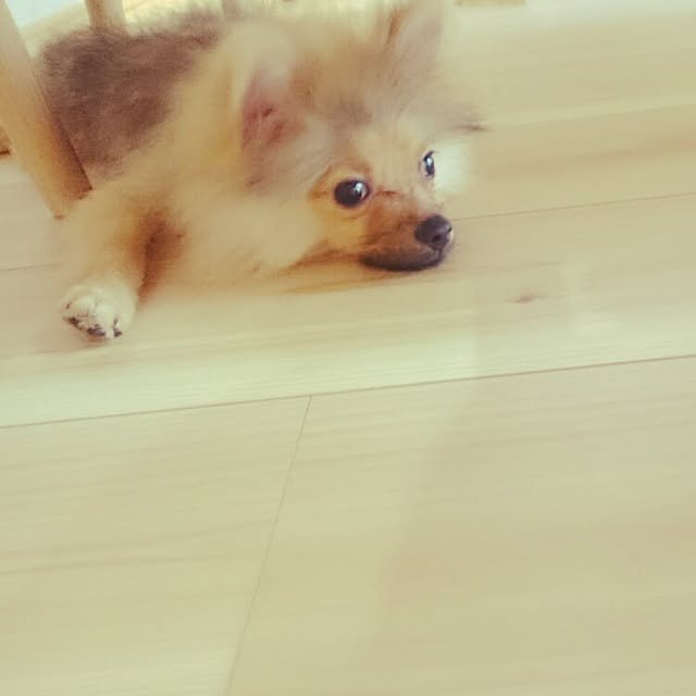 yu0625maさんの実例写真