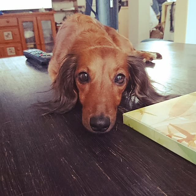 andさんの実例写真