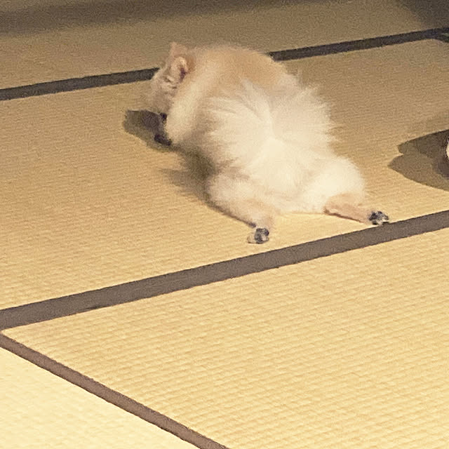 1546さんの部屋