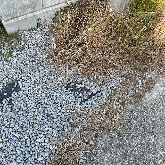seiさんの実例写真