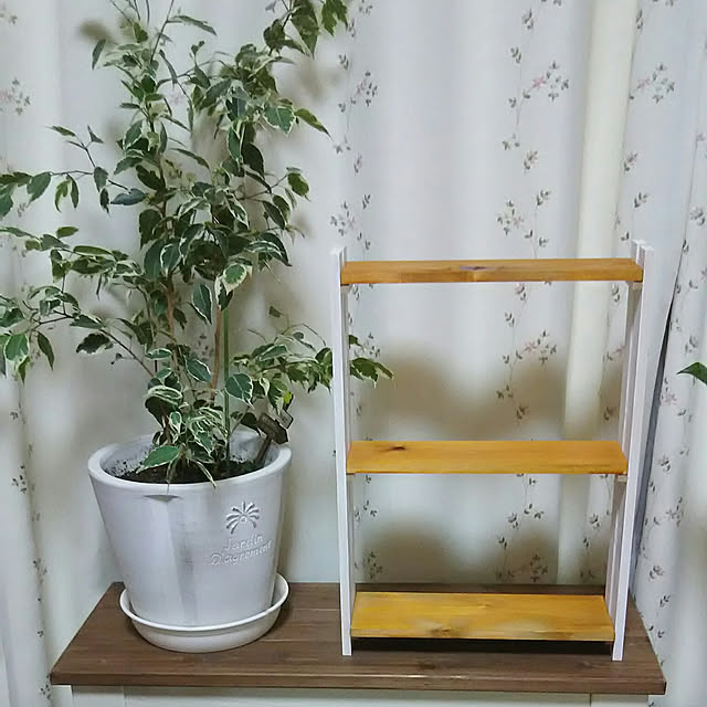 naopyiさんの実例写真