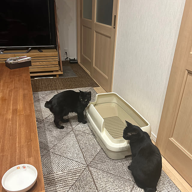 TOA-80さんの実例写真