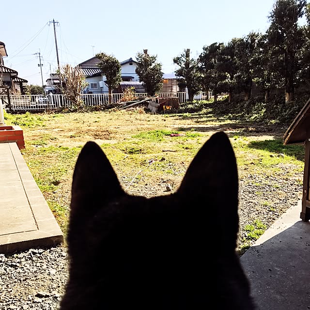 haruさんの実例写真