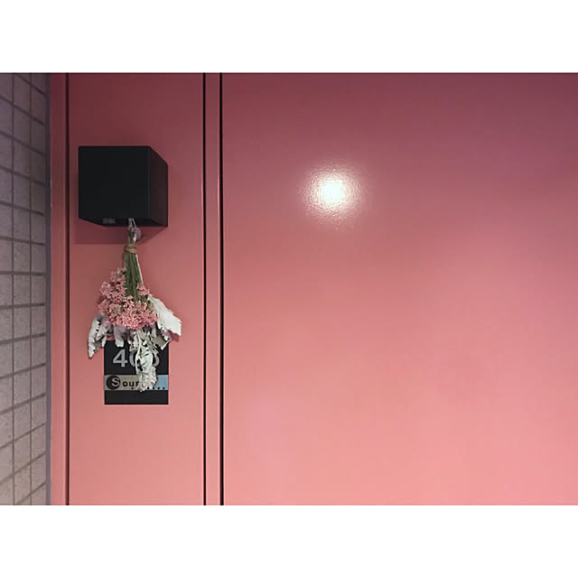 玄関/入り口/マンション暮らし/マンションインテリア/ドライフラワー/花のある暮らしのインテリア実例 - 2018-05-01 12:52:49