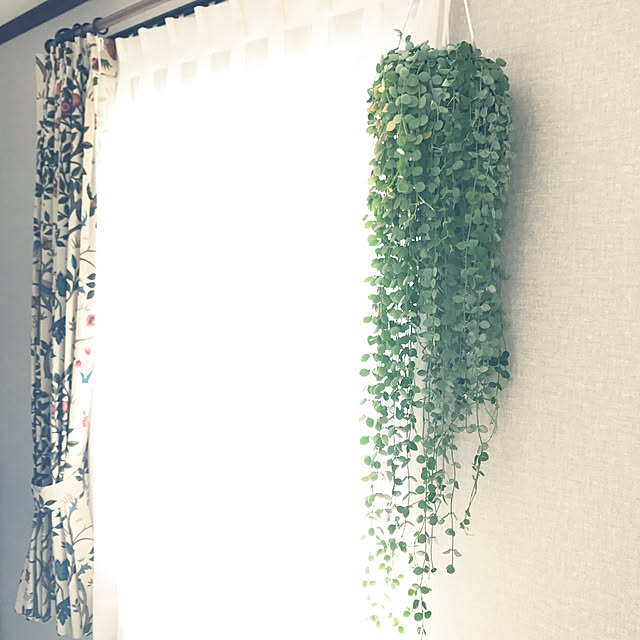 yuki_s_さんの実例写真