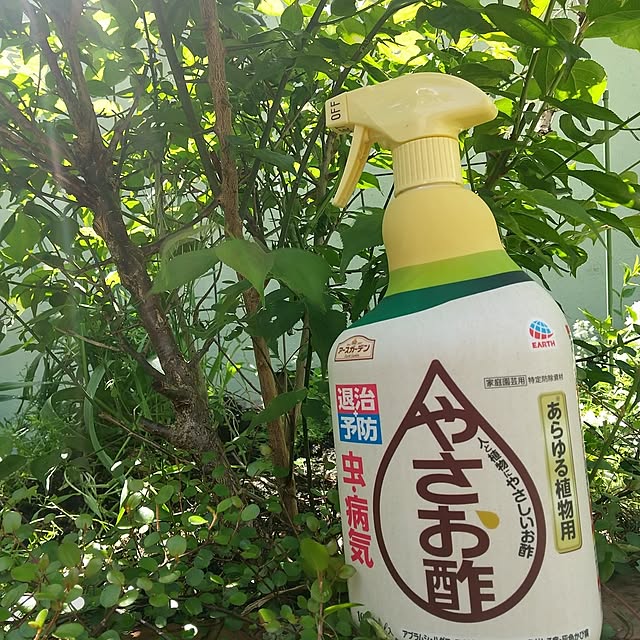 Rさんの部屋