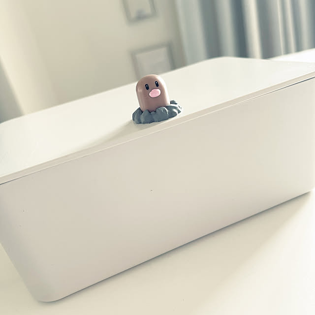 ha5さんの実例写真