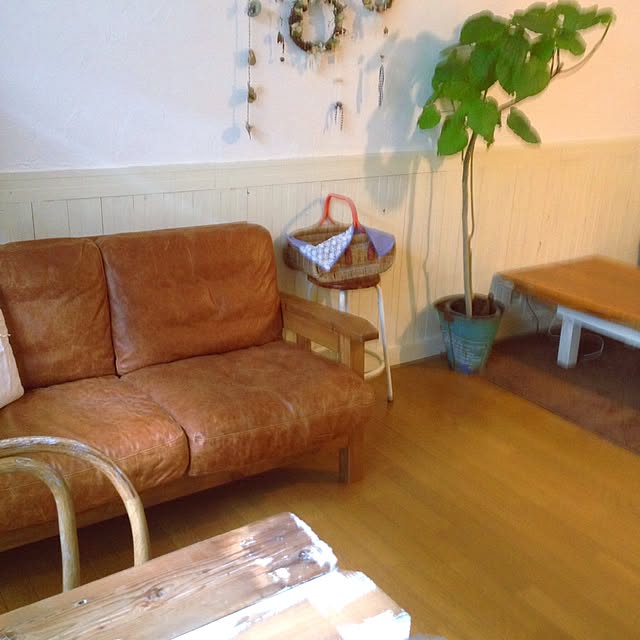miwaさんの実例写真