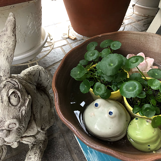 kaeruさんの実例写真