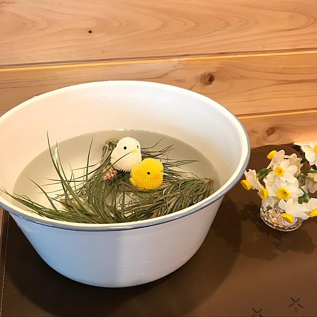 miporinさんの実例写真