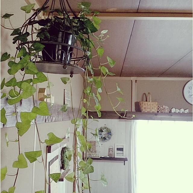 miporin0711さんの実例写真