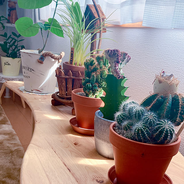 Hanakaさんの部屋